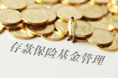 14年守护44万孩子好好吃饭“免费午餐基金”用公